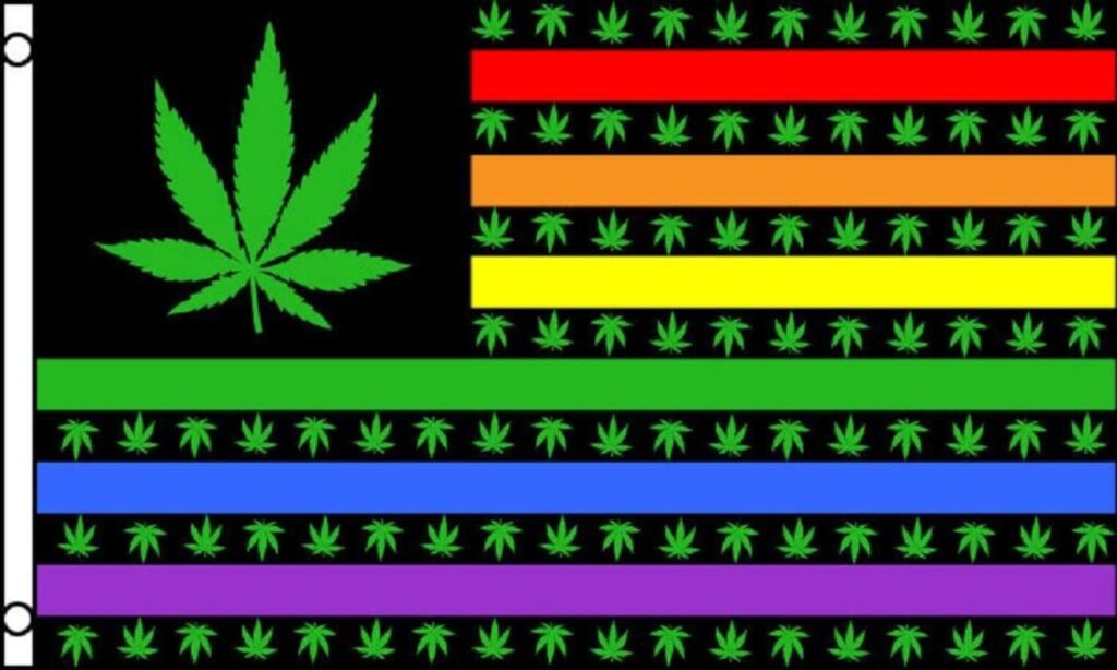 marijuana leaves rainbow flag